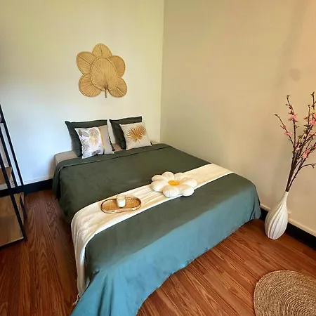 Cosy - Le Cerisier Apartment Valence (Drome)