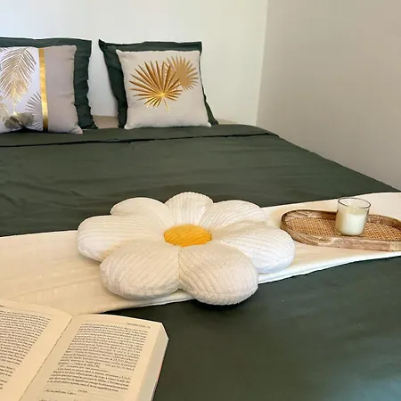 Cosy - Le Cerisier * Valence (Drome)