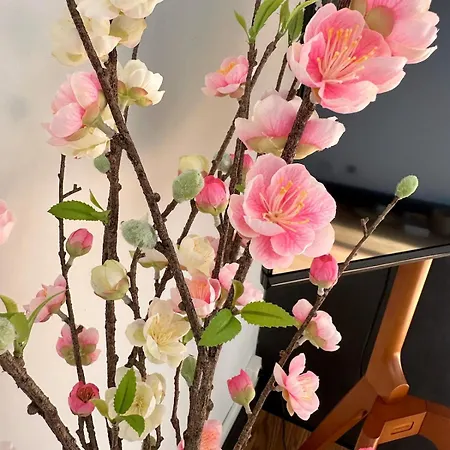 Apartman Cosy - Le Cerisier