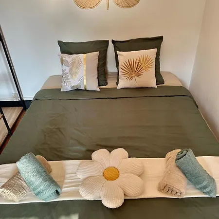 Cosy - Le Cerisier Apartment Valence (Drome)