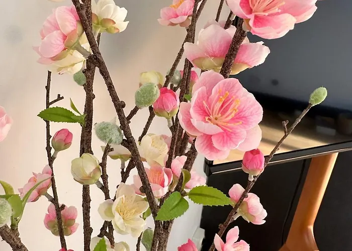 Apartman Cosy - Le Cerisier