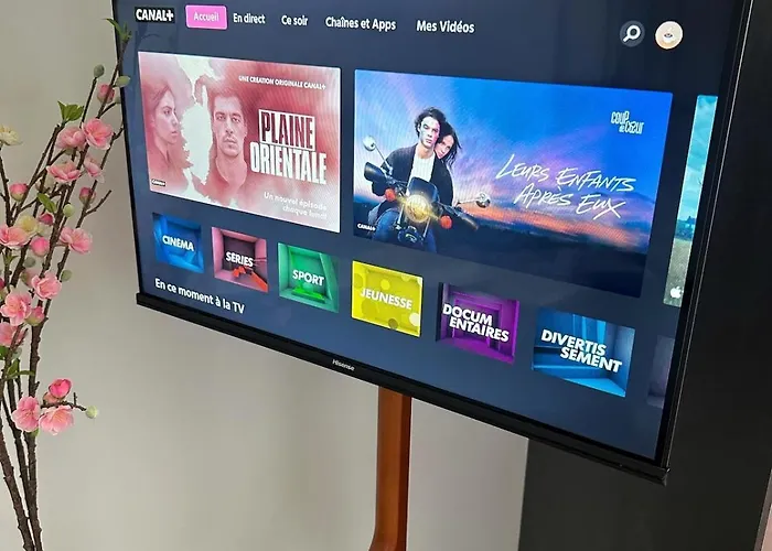 Apartment Cosy - Le Cerisier *