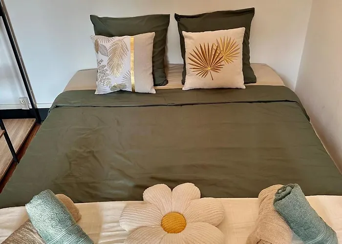 Cosy - Le Cerisier Apartman Valence